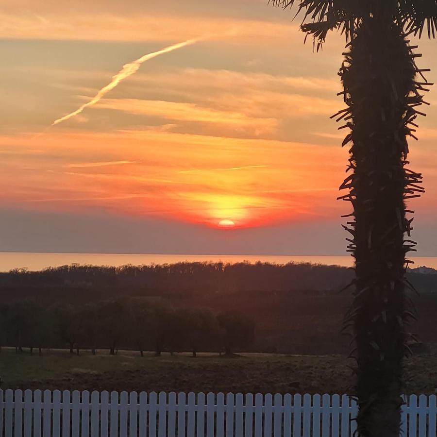 Haus Sunshine Villa Novigrad  Bagian luar foto