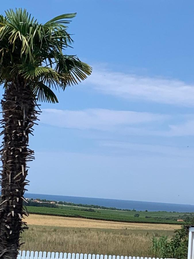 Haus Sunshine Villa Novigrad  Bagian luar foto