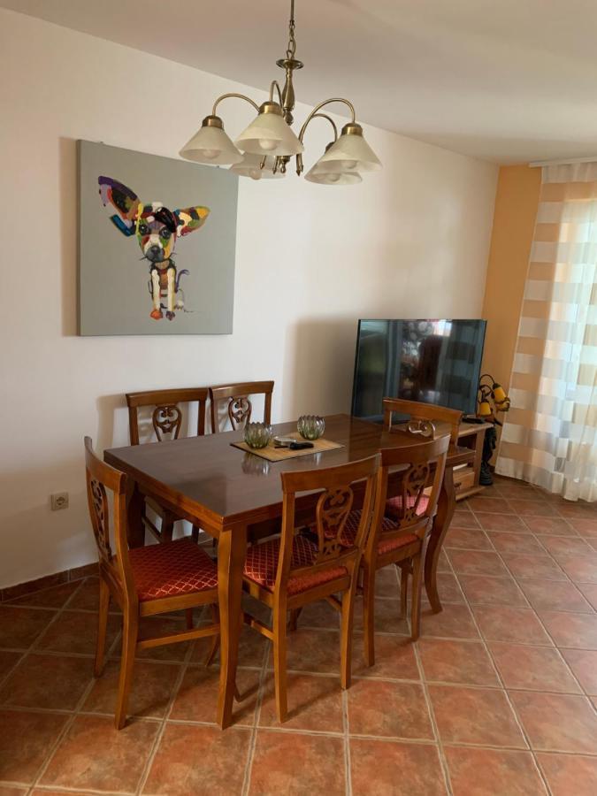 Haus Sunshine Villa Novigrad  Bagian luar foto