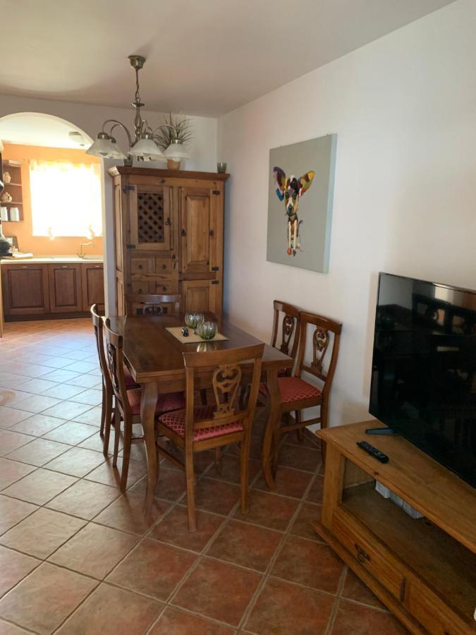 Haus Sunshine Villa Novigrad  Bagian luar foto